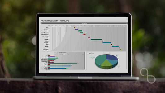 Cómo Dejar el Excel para la Gestión de tu Negocio